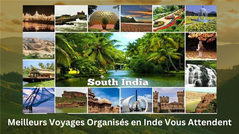 agence de voyage francophone en Inde